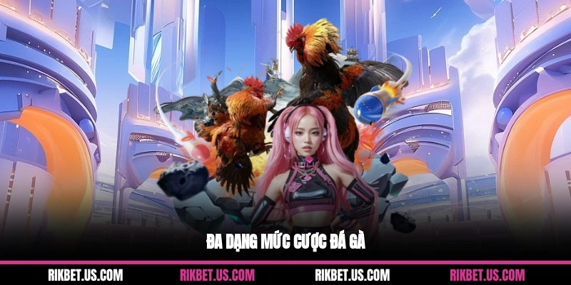 Đa dạng mức cược đá gà