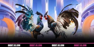 Đá Gà Campuchia - Hàng Trăm Giải Đấu Chuyên Nghiệp 2025