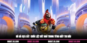 Đá Gà Cựa Sắt - Khốc Liệt Bất Ngờ Trong Từng Giây Thi Đấu