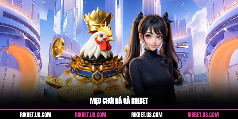 Mẹo chơi đá gà Rikbet