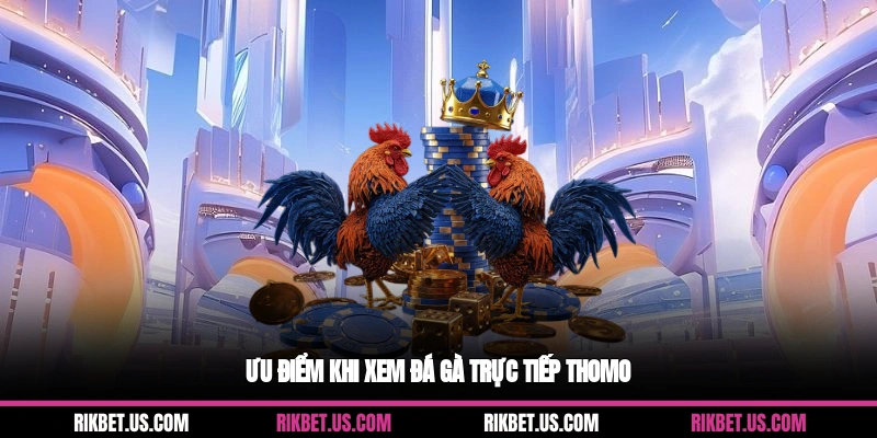Ưu điểm khi xem đá gà trực tiếp Thomo