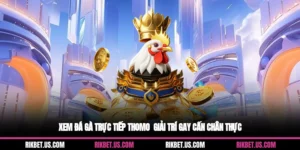 Xem Đá Gà Trực Tiếp Thomo - Giải Trí Gay Cấn, Chân Thực